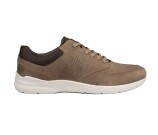 Kleur Beige / Bruin