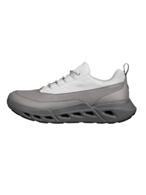 ECCO Biom 720 M Gore-tex steel/concrete