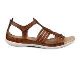 Kleur Beige / Bruin
