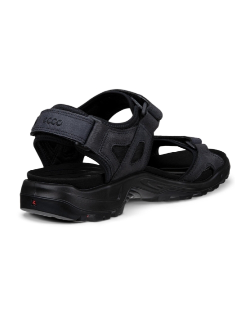 Yucatan black