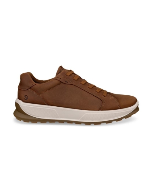 Byway 2.0 camel