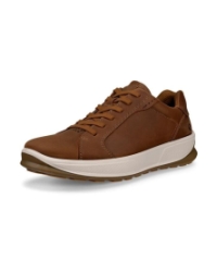 Byway 2.0 camel