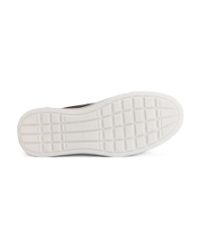 Move M camel