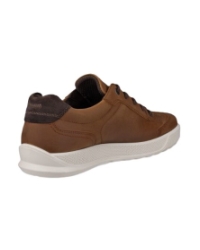 Byway M camel
