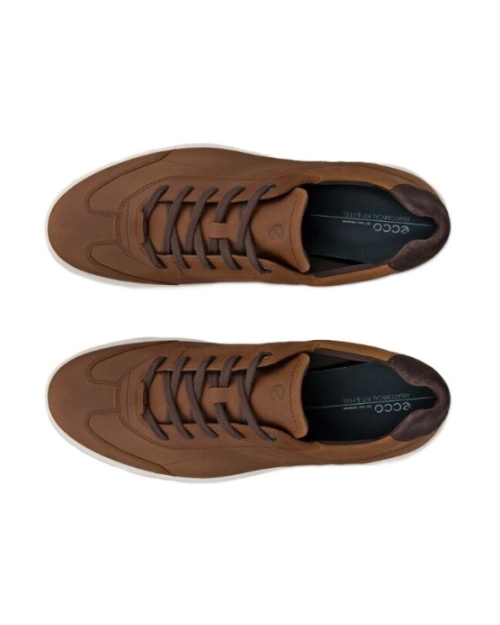 Byway M camel