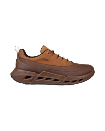Ecco Biom 720 M Goretex cocoa brown