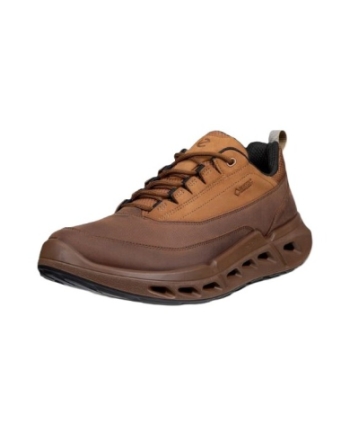 Ecco Biom 720 M Goretex cocoa brown