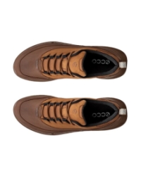 Biom 720 M Goretex cocoa brown