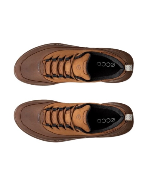 Biom 720 M Goretex cocoa brown