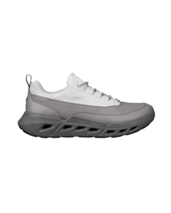 Ecco Biom 720 M Gore-tex steel/concrete