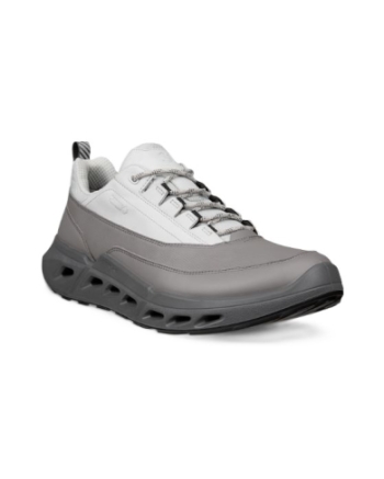 Ecco Biom 720 M Gore-tex steel/concrete