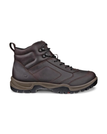 Ecco Xpedition III M coffee