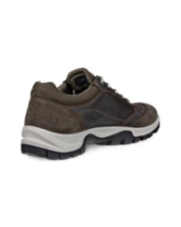 Xpedition III W dark clay