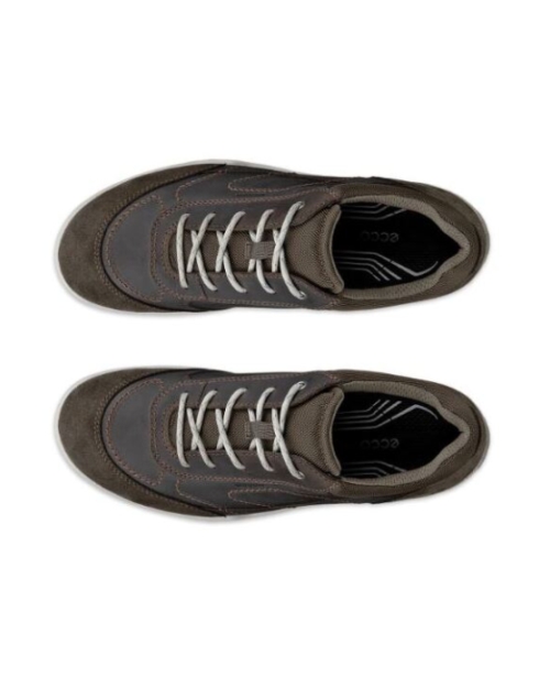 Xpedition III W dark clay