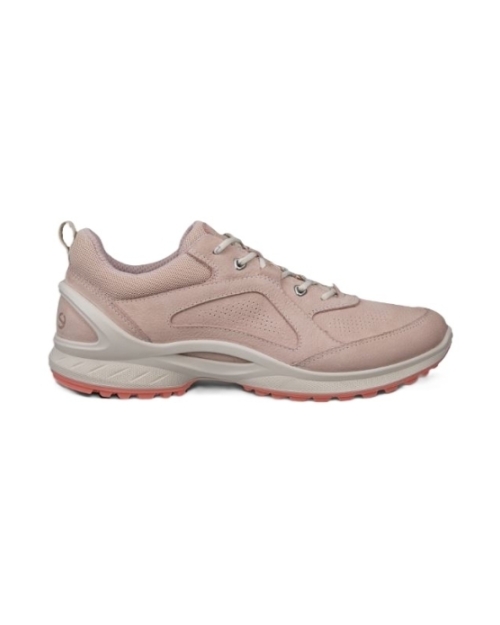 Biom Energi W rose dust