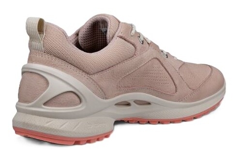 Biom Energi W rose dust