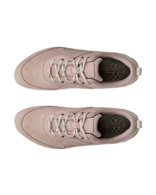 Biom Energi W rose dust