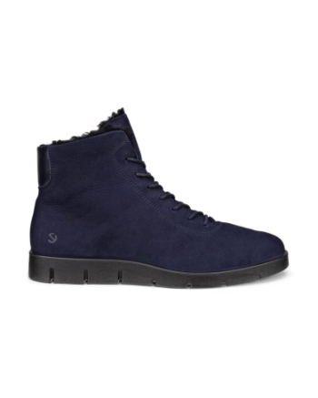Ecco Bella night sky